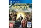 Image Jeux Vidéo Far Cry 5 Edition Gold PlayStation 4 (PS4)
