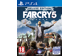 Image Jeux Vidéo Far Cry 5 Edition Deluxe PlayStation 4 (PS4)