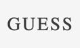 Image guess